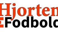 efodbold-kopier-copy.jpg